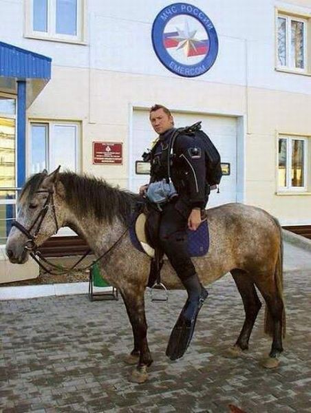Порция картинок