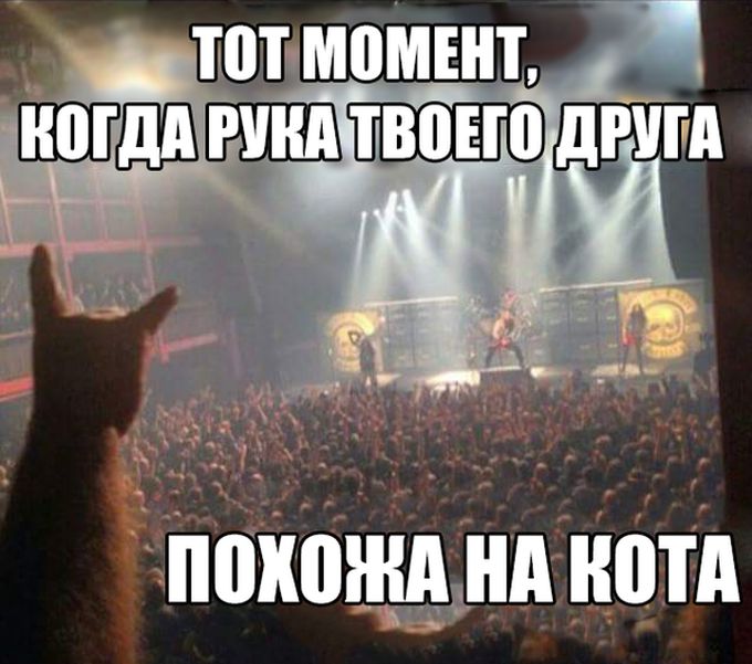 Порция картинок