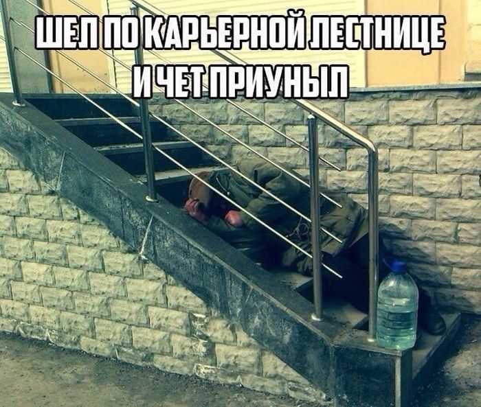 Порция картинок