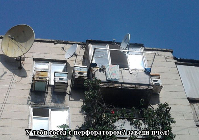Порция картинок