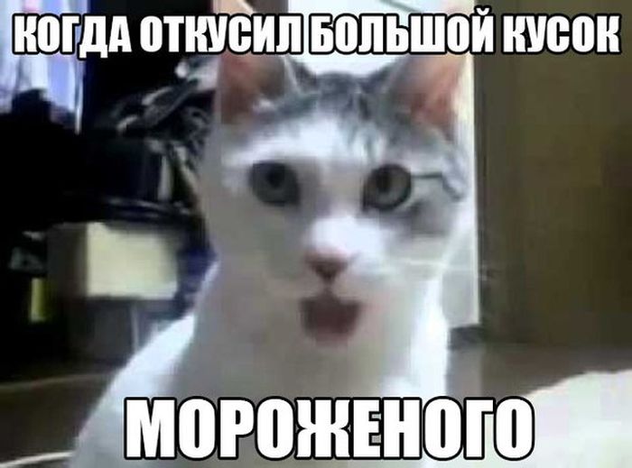 Порция картинок