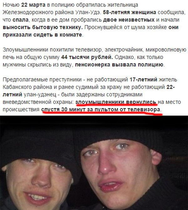 Порция картинок