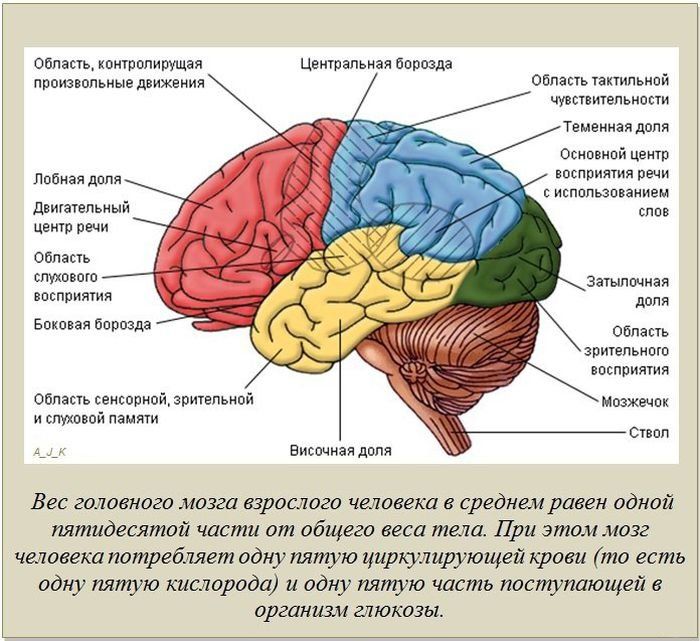 Интересные факты (62 фото)
