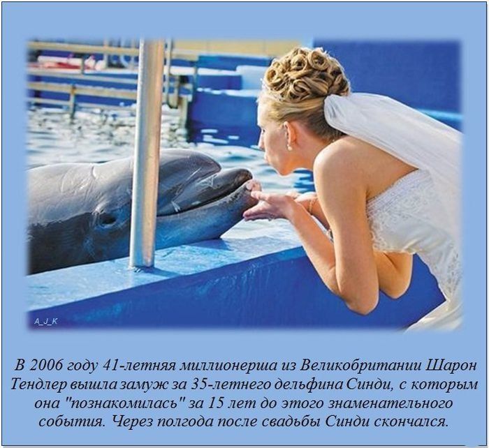 Интересные факты (62 фото)