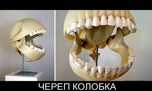 Прикольные картинки (120 фото)