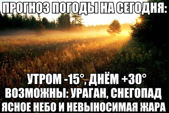 Порция картинок