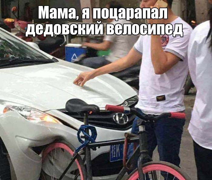 Прикольные картинки