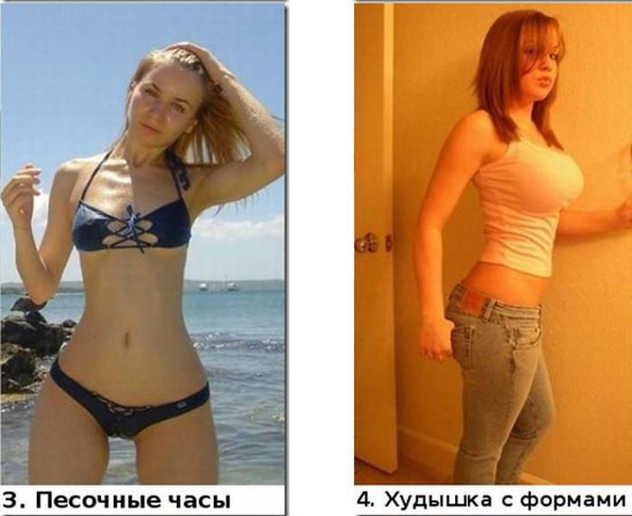 Типы женских фигур