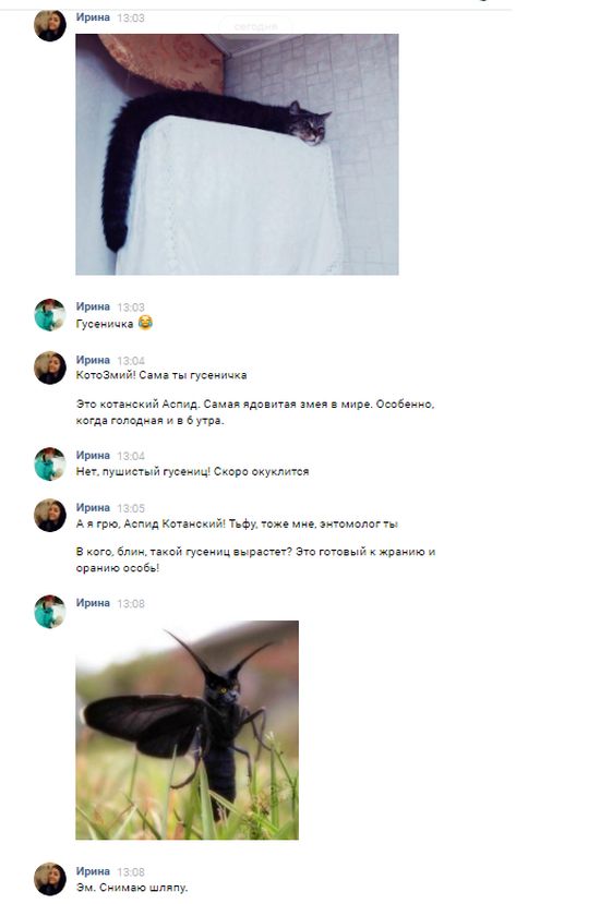 Юмор от пользователей соцсетей