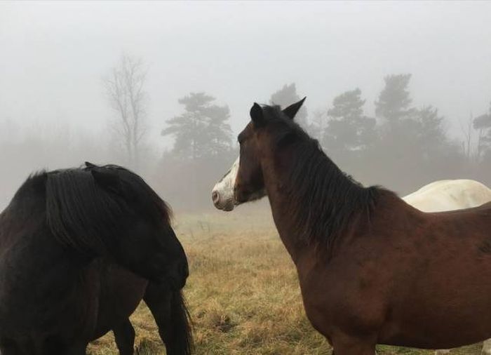 Момент удачного совпадения