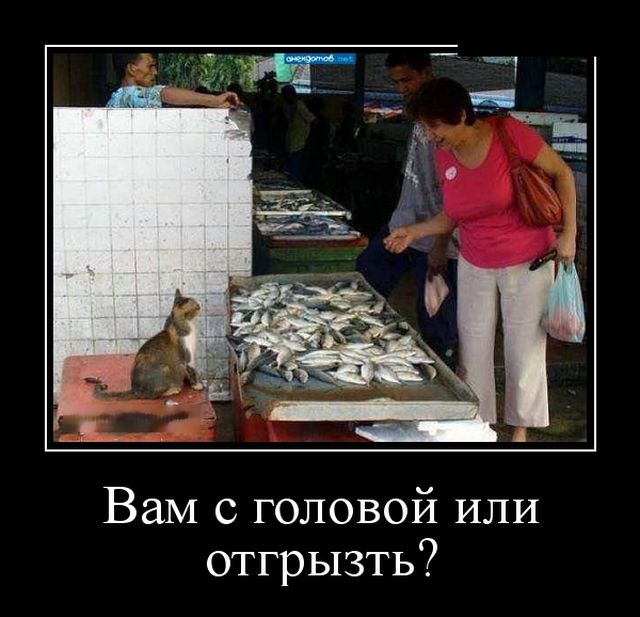 Демотиваторы