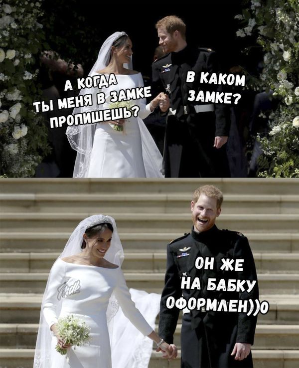 Прикольные картинки