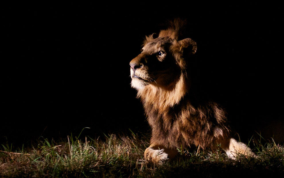 Конкурс фотографий National Geographic Traveler 2013. Часть 2 Конкурс фотографий National Geographic Traveler 2013. Часть 2