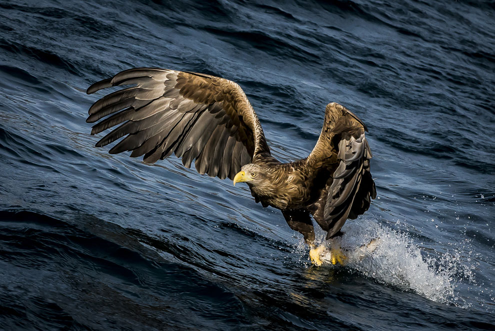 Конкурс фотографий National Geographic Traveler 2013. Часть 2 Конкурс фотографий National Geographic Traveler 2013. Часть 2