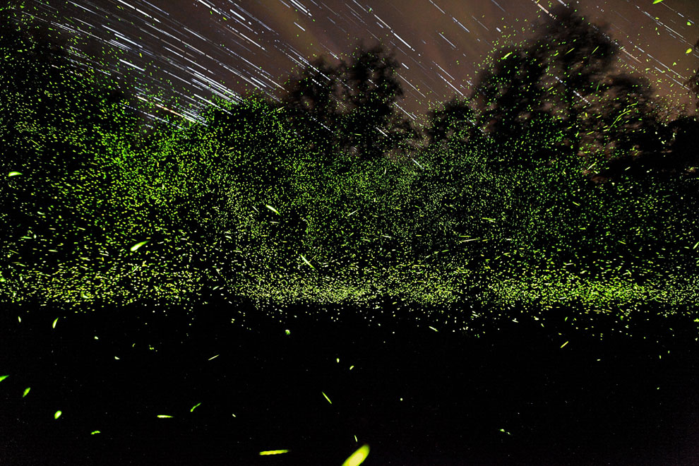 Конкурс фотографий National Geographic Traveler 2013. Часть 2 Конкурс фотографий National Geographic Traveler 2013. Часть 2