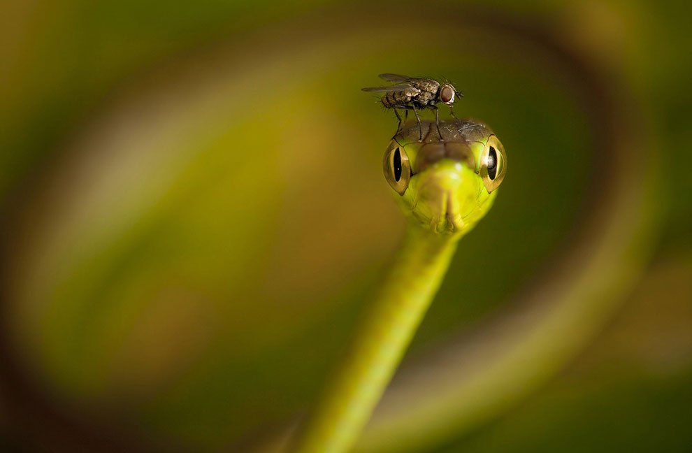 Конкурс фотографий National Geographic Traveler 2013. Часть 2 Конкурс фотографий National Geographic Traveler 2013. Часть 2
