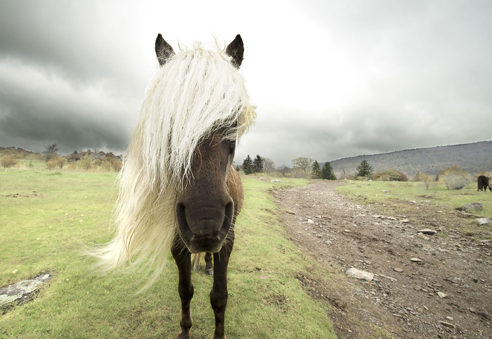 Конкурс фотографий National Geographic Traveler 2013. Часть 2 Конкурс фотографий National Geographic Traveler 2013. Часть 2