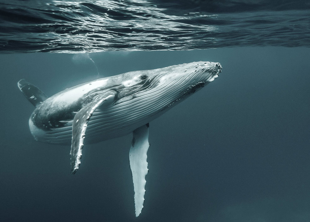 Конкурс фотографий National Geographic Traveler 2013. Часть 2 Конкурс фотографий National Geographic Traveler 2013. Часть 2