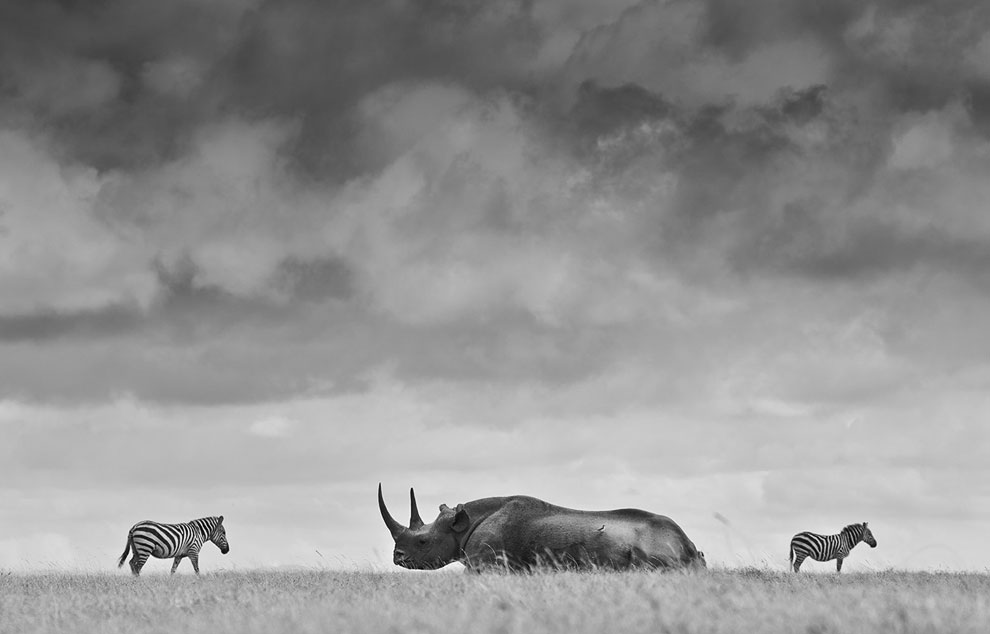 Конкурс фотографий National Geographic Traveler 2013. Часть 2 Конкурс фотографий National Geographic Traveler 2013. Часть 2