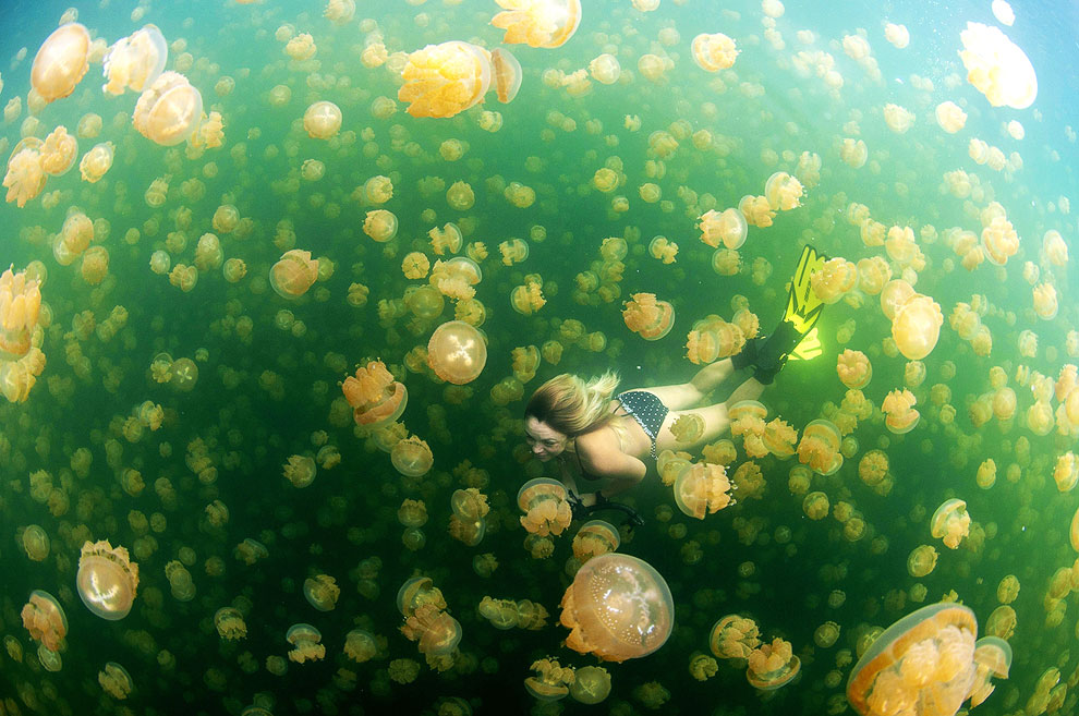 Конкурс фотографий National Geographic Traveler 2013. Часть 2 Конкурс фотографий National Geographic Traveler 2013. Часть 2