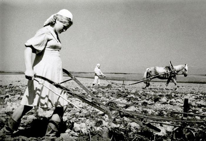 Самые яркие воспоминания женщин-ветеранов о войне Самые яркие воспоминания женщин-ветеранов о войне