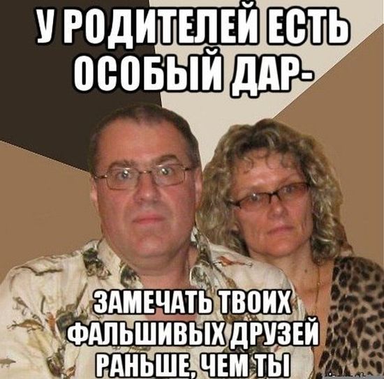 Порция картинок