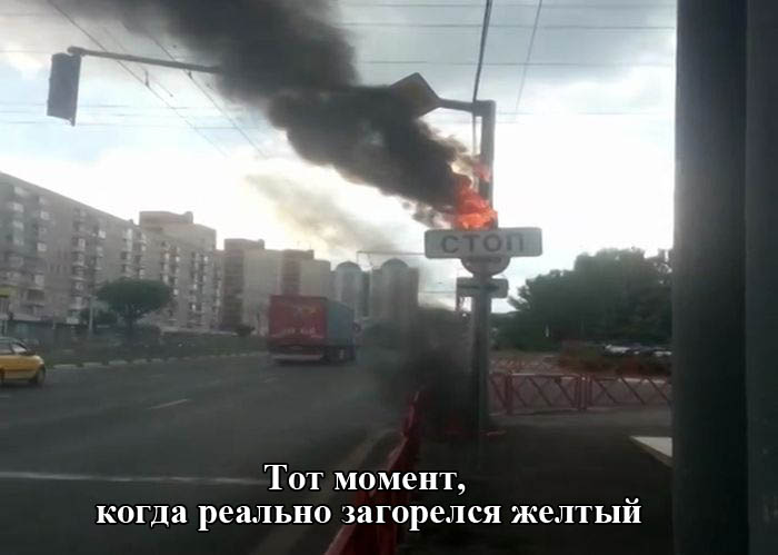 Порция картинок