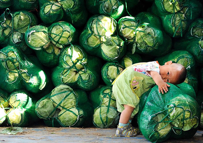 Неделя в фотографиях (25 фото) Неделя в фотографиях (25 фото)