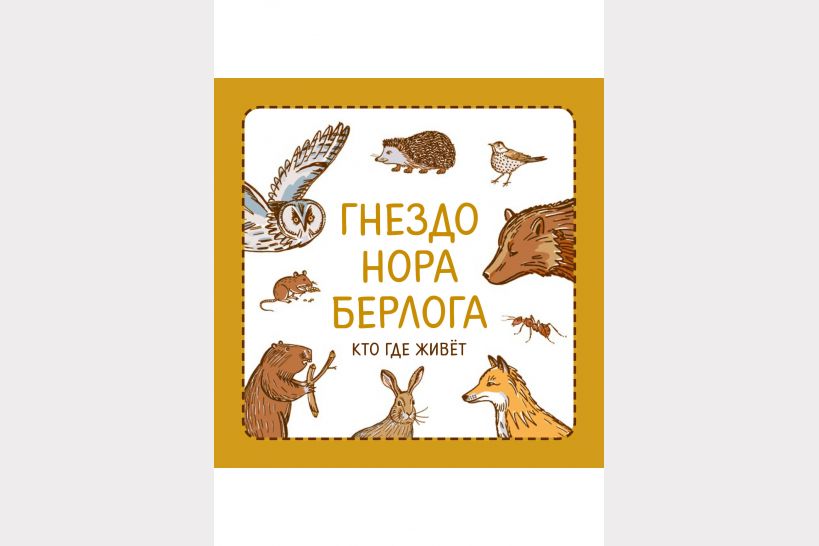 Самые интересные современные книги для детского досуга Самые интересные современные книги для детского досуга