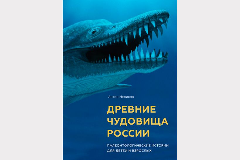Самые интересные современные книги для детского досуга Самые интересные современные книги для детского досуга