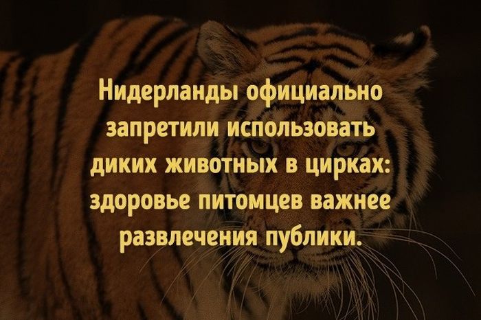 То, что поможет изменить наш мир к лучшему