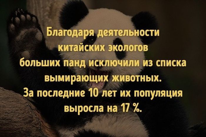 То, что поможет изменить наш мир к лучшему