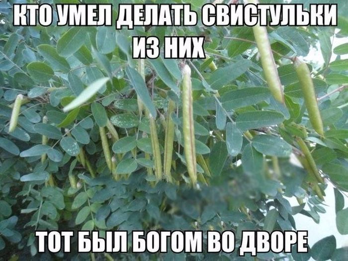 Светлые воспоминания о детстве