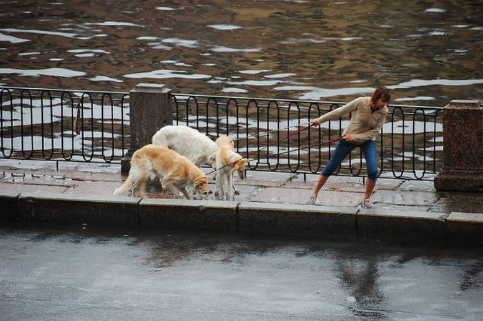 Прикольные картинки