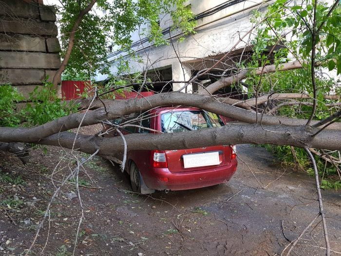 Карма настигла автоледи