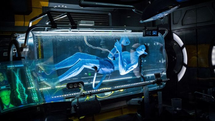 Тематический парк Pandora World of Avatar land в Disney World