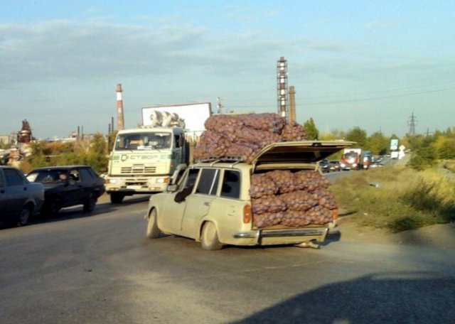 На бескрайних просторах