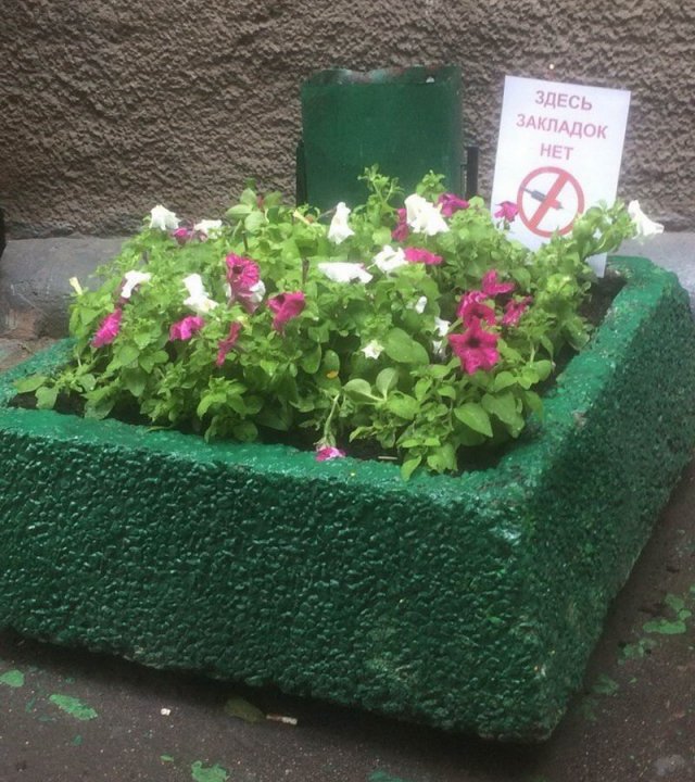 На бескрайних просторах