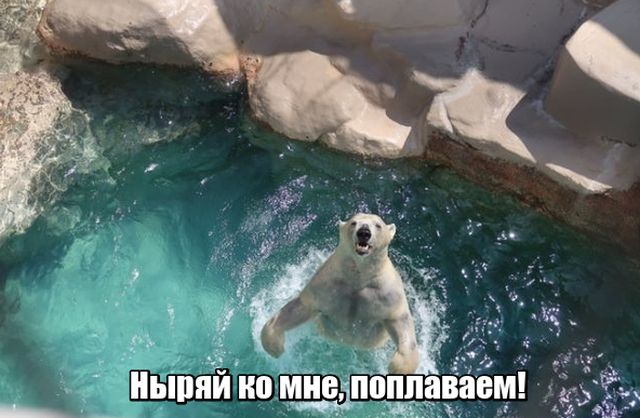 Прикольные картинки