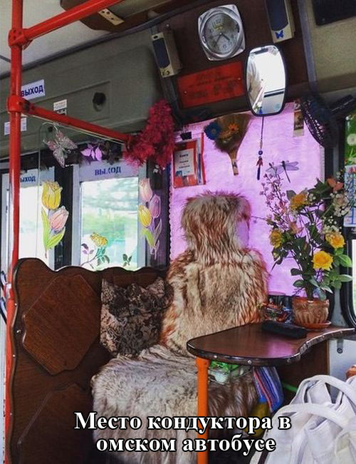 Порция картинок