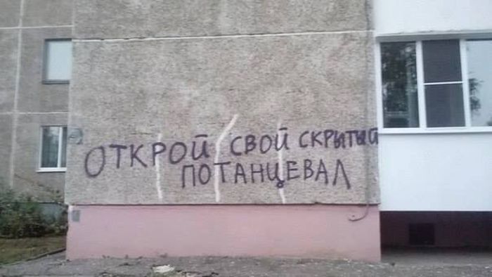 Порция картинок