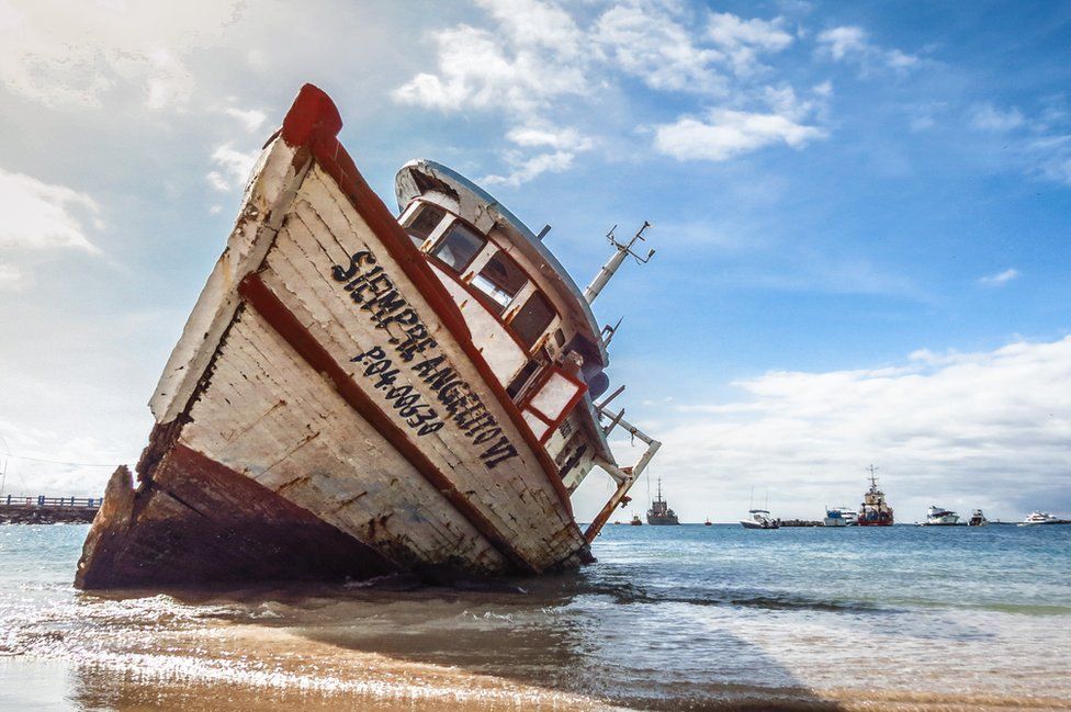 Победители фотоконкурса Galapagos Conservation Trust Photography Competition 2017 Победители фотоконкурса Galapagos Conservation Trust Photography Competition 2017