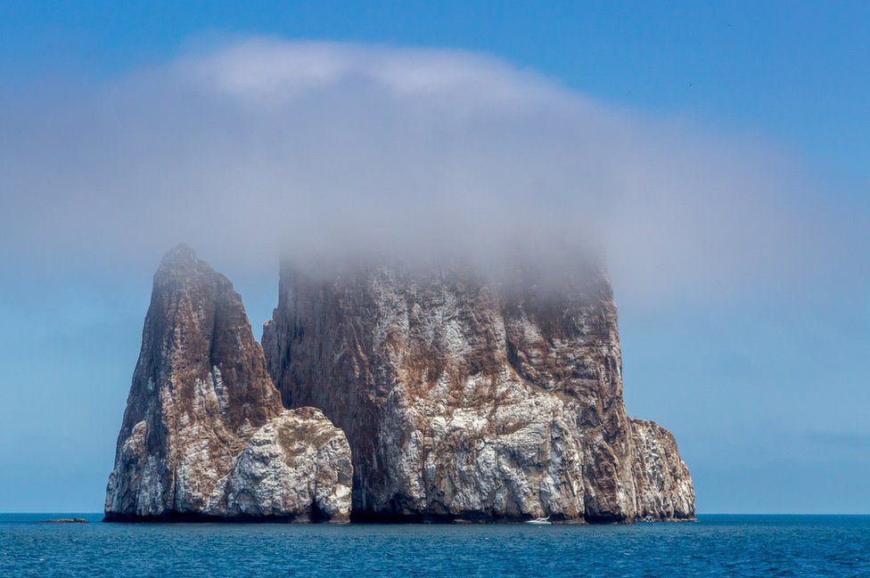 Победители фотоконкурса Galapagos Conservation Trust Photography Competition 2017 Победители фотоконкурса Galapagos Conservation Trust Photography Competition 2017