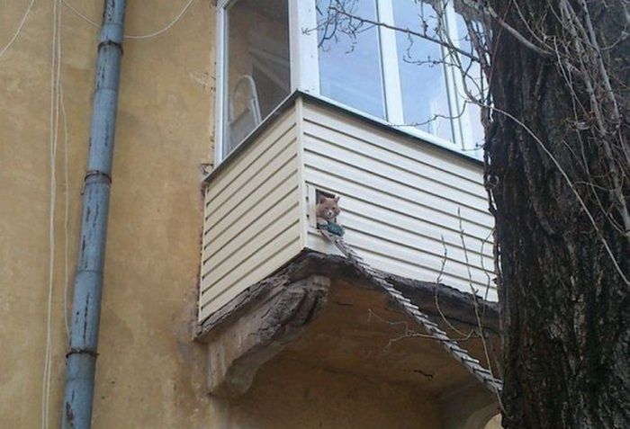 Такое возможно только в России