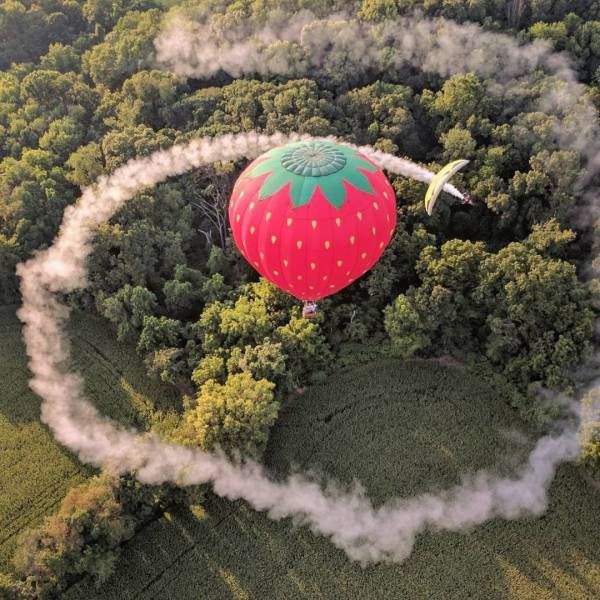 Прикольные картинки
