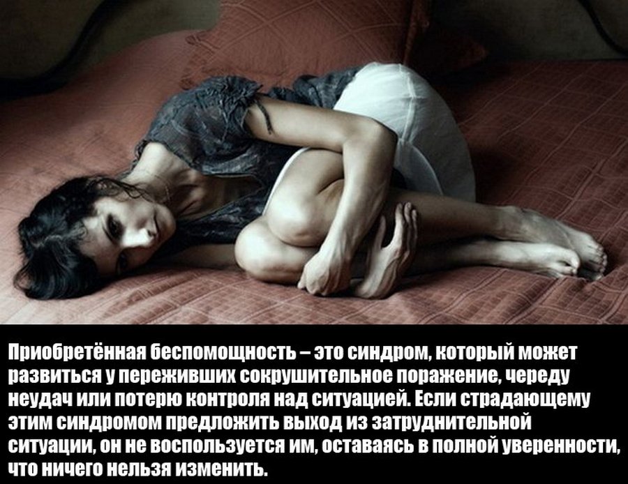 Удиви друзей Удивительные факты обо всем на свете