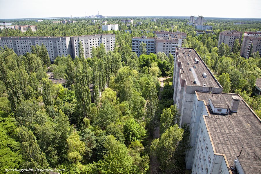 Припять — город, где остановилось время Припять — город, где остановилось время