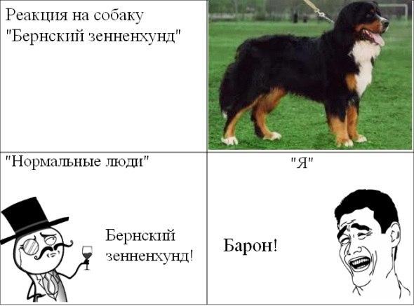Смешные комиксы (30 фото)