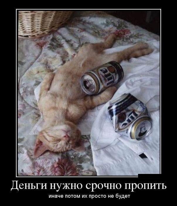 Демотиваторы (45 фото)