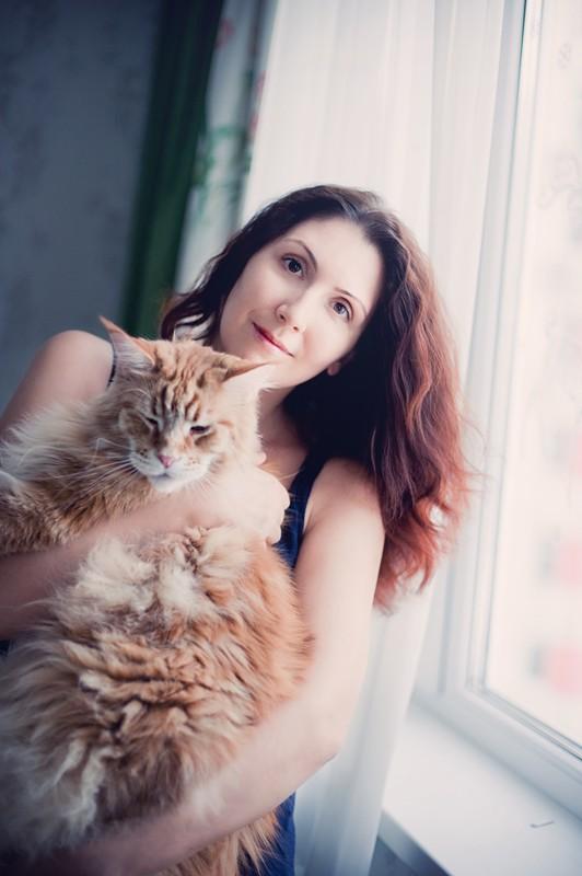 Поддаются ли коты воспитанию Поддаются ли коты воспитанию
